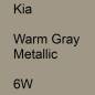 Preview: Kia, Warm Gray Metallic, 6W.